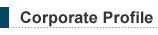 Corporate Profile (as of January 1, 2006)