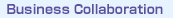 Co-operative Alliances and Joint Development Projects